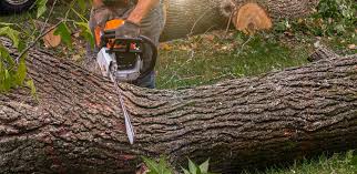 Best Aeration Services  in Allison Rk, PA